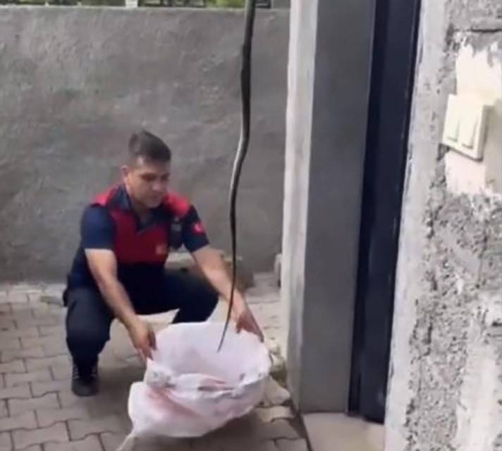 Yılanları mıknatıs gibi çeken 4 nokta belli oldu! Evinde olanlar dikkat - Resim: 21